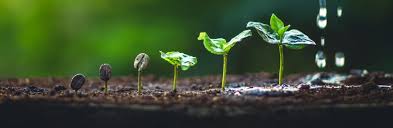 Meditatie - LifeStyleManagement | Healingmassage | Mediumgesprekken | HypnoTherapie | Meditatie | Breenie